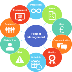 IT Project Consulting and Planning
